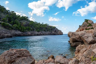Evdeki terk edilmiş kapının, Valldemossa 'nın, Mallorca' nın, İspanya 'nın, sarmaşık' ın, tırmanma tesisinin, kapıların ve kapıların fotoğrafları.
