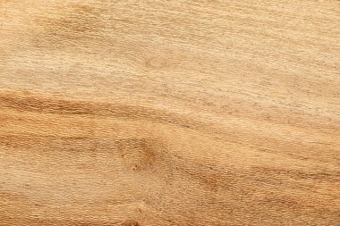 Beyaz Acacia ahşabının makro arkaplan fotoğrafı, ahşap tahta, doğal tahta, sert ahşap, desenli fal, boş, örnek