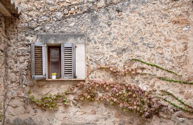 Pencereli eski evin arka plan fotoğrafı, fincanda sarı çiçek buketi olan pencere pervazı, eski terracotta duvar, kepenkler, tırmanma tesisi, Mallorca, İspanya