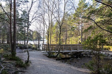 Ormandaki yaya köprüsünün peyzaj fotoğrafı; göl ve köprü, kış havası, patika, kırsal park, çevre, odun; manzara; İskoçya; İngiltere, Aviemore