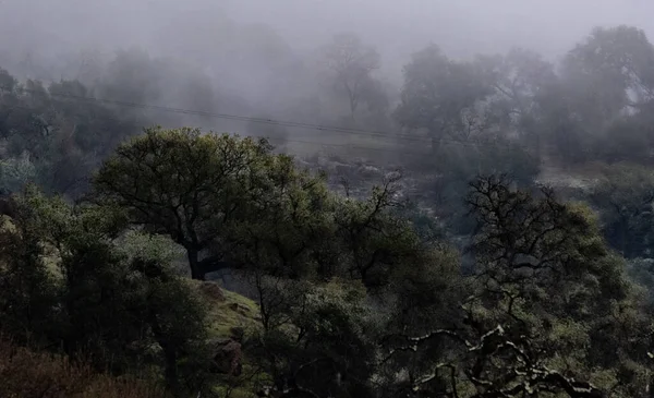 Veeder Dağı 'ndaki güzel Napa Vadisi şelalesi
