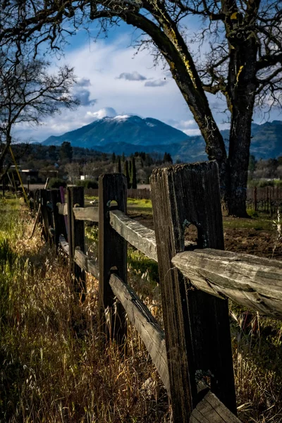 Arka planda Saint Helena Dağı olan Napa Valley manzarası