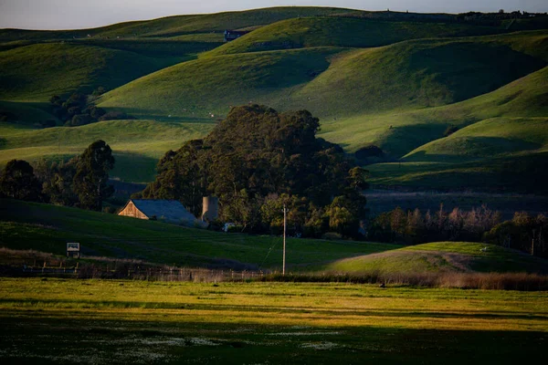 Güzel yeşil Sonoma ilçesi yuvarlanan tepeleri