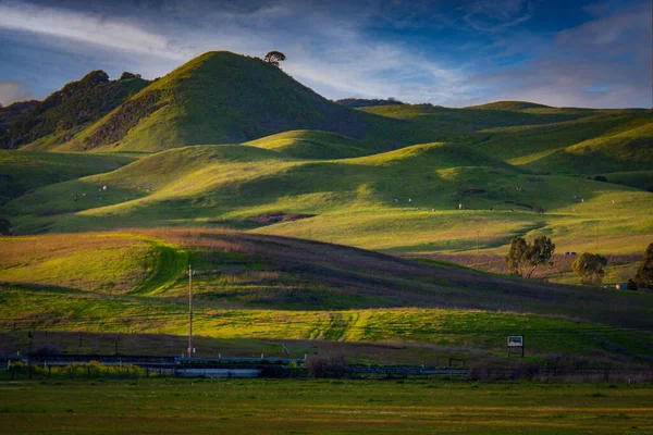 Prachtig Groene Sonoma Provincie Glooiende Heuvels — Stockfoto