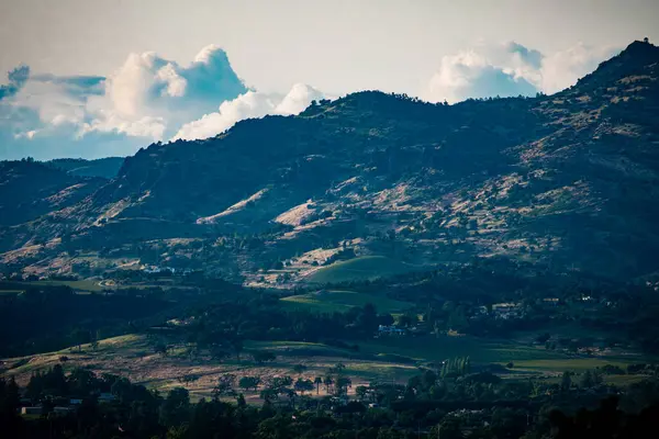 Napa Vadisi Coombsville farklı bir açıdan