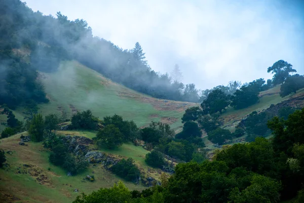 Napa Vadisi Sabah Sisinde Yuvarlanan Tepeler — Stok fotoğraf