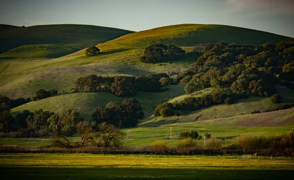 Prachtige Glooiende Heuvels Provincie Sonoma — Stockfoto