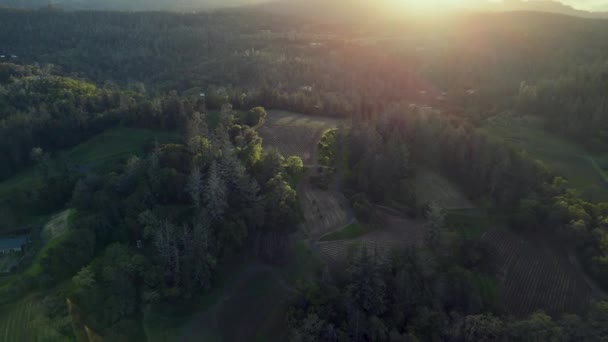 落日落山纳帕谷葡萄园的空中 — 图库视频影像