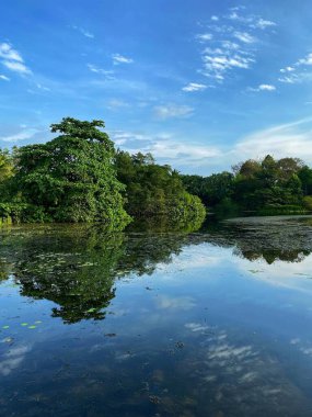 Singapur Botanik Bahçeleri 'nde Eco-Lake