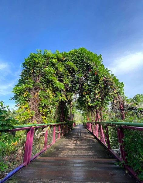 Bridge Colonial Garden Gardens Bay — Stock Photo, Image