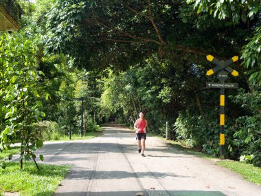 Demiryolu Koridoru 'nda yürüyüş. Büyük yeşil alanlar arasında vahşi yaşamın hareketini sağlayan sürekli yeşil bir geçit..