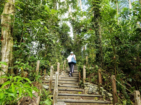 stock image Hiking at the Rail Corridor. A continuous green passage that allows wildlife movement between major green spaces.