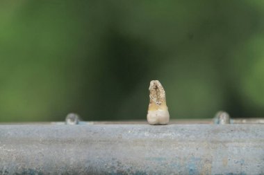 Bulanık arkaplanı olan ahşap bir masanın yakın plan çekimi.