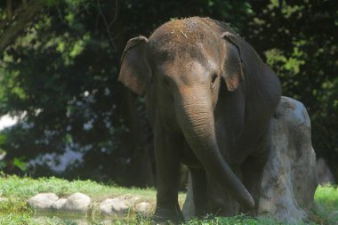 Fil görünümünü kapat