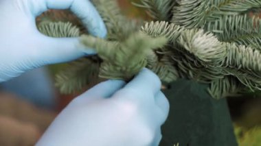 Mavi eldivenli kadın ellerinin yakın çekimi oyuncak Noel ağacı dalları yapıyor.