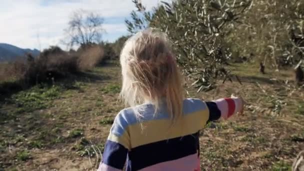 Mała Blondynka Dotyka Kwitnącego Drzewa Oliwnego Idącego Ścieżką Zewnątrz Dziecko — Wideo stockowe