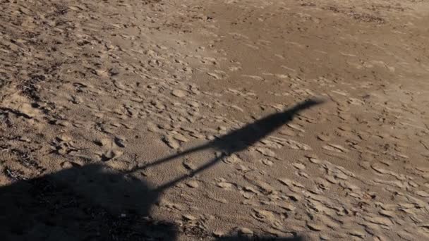 Silueta Niña Con Coletas Bailando Playa Arena Amplio Tiro — Vídeo de stock