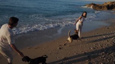 Beyaz elbiseli mutlu genç adam ve kadın çakıl taşlı sahilde yürüyor. Kızın biri köpeğe çakıl taşı atıyor. Çiftler köpeklerle oynarken eğleniyor.