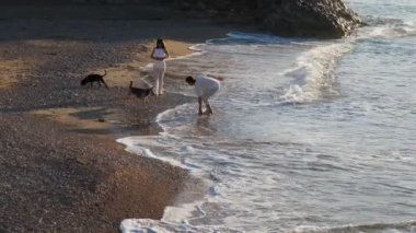 Beyaz elbiseli genç adam ve kadın gün doğumunda çakıl taşı plajında yürüyorlar. Çiftler köpeklerle oynarken eğleniyor. Geniş açı