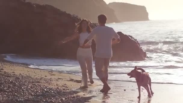 美しい女の子は男に走り 彼の腕に飛び込む 白い服を着た若い男性と女性は 日の出の日の光の中で小石のビーチを歩いている カップルは犬と遊ぶのが楽しい フルショット — ストック動画