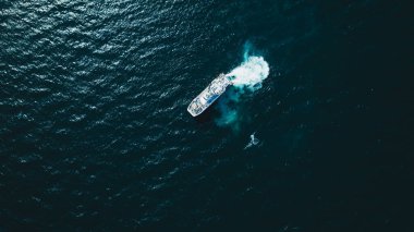 Bir tekne koyu mavi sularda yol alır, beyaz bir iz bırakır. Yakınlarda bir balina yüzeye çıkar, hava deliğinden çıkan sis dinamik bir sahne yaratır..