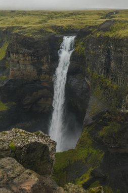 Haifoss şelalesi, İzlanda 'da bulutlu bir gökyüzünün altında yosunlu araziyle çevrili volkanik kaya katmanlarıyla engebeli bir kanyona dalıyor..