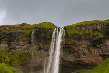 Seljalandsfoss şelalesi, yemyeşil yemyeşil, bulutlu bir gökyüzü altında engebeli uçurumlarla çevrili yüksek bir uçurumdan tek bir dereye düşer..