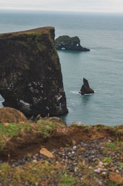 İzlanda 'da Dyrholaey' in dramatik uçurumları kayalık bir kemer, pembe çiçekler, okyanus ve bulutlu bir gökyüzünün altında daha küçük kaya oluşumları olan çimenli kenarlar..