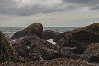 İzlanda 'da yosun kaplı kayalar, yumuşak okyanus dalgaları ve suya yansıyan yumuşak ışığı yansıtan bulutlu bir gökyüzü içeren engebeli bir kıyı manzarası..