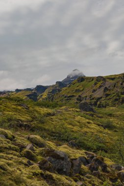 Yosun, dağınık kayalar ve seyrek bitki örtüsüyle kaplıydı. Kısmen bulutlarla gizlenmiş bir dağ zirvesi ve İzlanda 'da bulutlu bir gökyüzü..