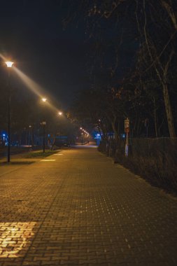 Polonya 'nın Gdansk kentindeki sessiz bir gece sahnesinde, sıcak sokak lambalarıyla aydınlatılmış, ağaçlarla çerçevelenmiş ve uzaktaki soluk mavi ışıkları gösteren kaldırım taşı bir yol görülüyor..