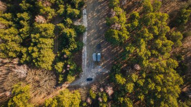Orman manzaralı küçük bir kulübe, park edilmiş bir araba ve altın saat boyunca uzun gölgeler bırakan karışık ağaçlar..