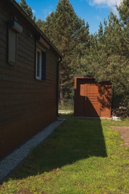 Koyu kahverengi ahşap bir kır evi, çitin yanında küçük bir kulübe, uzun çam ağaçları ve çimlerin üzerine gölge düşüren güneş ışığı..