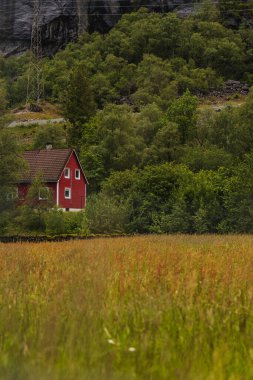 Çatı eğimli, gür ağaçlar, uzun otlar ve arka planda kayalık bir uçurumla çevrili kırmızı bir ev. Bir elektrik hattı ve direk de görünür durumda..