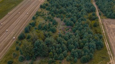 Polonya 'nın Nowy Lubiel yakınlarındaki sık yeşil ormanın insansız hava aracı görüntüsü, saman balyalarıyla çevrili tarlalar ve orman ile tarım arazilerini ayıran toprak bir yol..