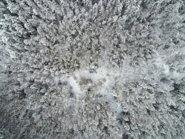 Yoğun kozalaklı bir orman karla kaplı, yukarıdan bakıldığında, küçük bir açıklık insan aktivitesi izleri gösteriyor. Belarus, Litvanya ya da Polonya 'da olabilir..