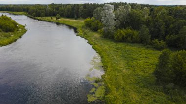 Polonya 'nın Nowy Lubiel kentindeki yemyeşil verimli bir nehir, çimenli bankalar, yoğun ormanlar ve gümüşi yapraklı uzun ağaçlarla çevrilidir..