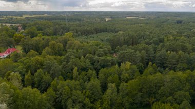 Polonya 'nın Nowy Lubiel şehrinde kırmızı çatılı bir bina, açık alanlar, iletişim kulesi ve bulutlu bir gökyüzü bulunan yaprak döken ve kozalaklı ağaçların karışımı..