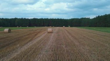 Saman balyaları, sık bir orman arkaplanı ve Polonya 'nın Nowy Lubiel şehrinde bulutlu bir gökyüzü ile hasat edilmiş bir tarlanın ileriye dönük görüntüsü..