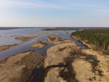 Beyaz Rusya 'nın Berezivka ve Minsk yakınlarındaki sık bir çam ormanıyla çevrili, küçük adaları ve su kanalları olan sulak alanların havadan görünüşü, yaz veya sonbahar başlarında.