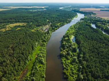 Yazın, Belarus, Minsk yakınlarındaki yeşil bir ormanı çevreleyen küçük bir yerleşim yeri ve açık arazisi olan yeşil bir ormanın manzarası..
