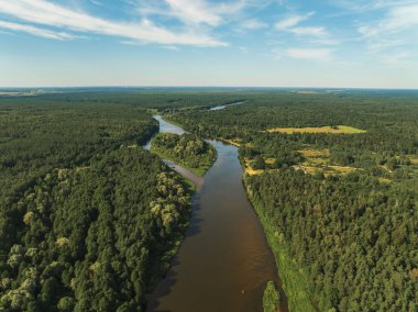 Güneşli bir günde Berezivka, Belarus yakınlarındaki sık yeşil ormanı saran kahverengimsi bir nehrin açık hava manzarası ve dağınık bulutlar..