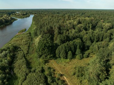 Berrak ve kirli bir patika ile yemyeşil orman, bitkilerle çevrili dolambaçlı bir nehir, ve yukarıdan yakalanan geniş bir ufuk..