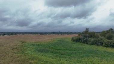 İnsansız hava aracı, sık gri bulutların altında dağınık çalılar, küçük ağaçlar ve sık bir orman ile sürekli açık çayırlarda hareket eder..