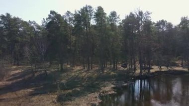 İnsansız hava aracı, Belarus 'ta yüksek çam ağaçları, ağaçları yansıtan sakin suyu ve su kenarındaki açıklığa yakın park edilmiş bir aracı gösteren bir orman bölgesi yakalar..