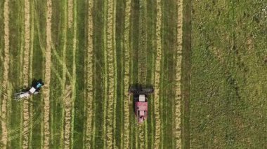 Beyaz Rusya 'da yeşil bir tarlada ilerleyen kırmızı bir hasatçının kuş bakışı görüntüsü, kırsal bir alanda kesilmiş ve kesilmemiş otlardan oluşan çizgili bir sıra oluşturuyor..