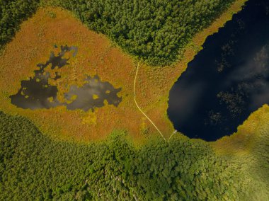 Litvanya 'nın dolambaçlı bir sahil yolu ile hava perspektifi, sağda karanlık bir göl ve solda renkli bir bataklık..