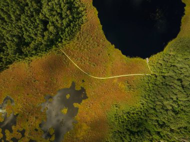 Litvanya 'da orman ve bataklıkla çevrili, suyun kıyısındaki rıhtıma giden dolambaçlı bir sahil yolu ile yansıtıcı bir gölün hava görüntüsü..