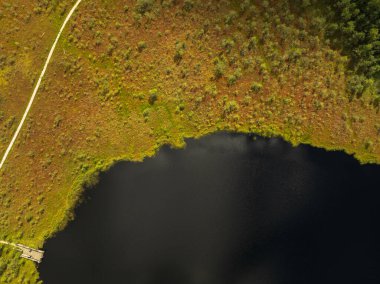 Litvanya 'da yeşil ve turuncu bitkilerle çevrili bir gölün hava görüntüsü, ahşap bir rıhtım, çapraz bir patika ve arka planda yoğun bir orman var..