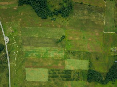 Yoğun ağaçlarla çevrili yeşil ve kahverengi tarlaların kuş bakışı manzarası, virajlı bir yol ve Litvanya kırsalında görünen küçük bir bina.